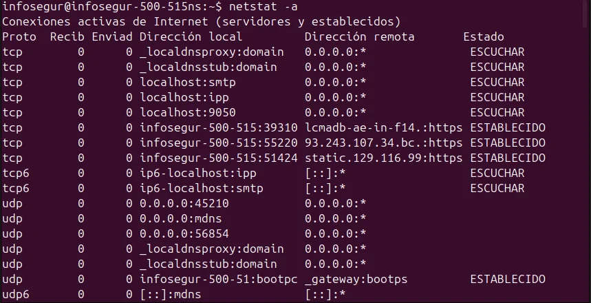Netstat Ubuntu
