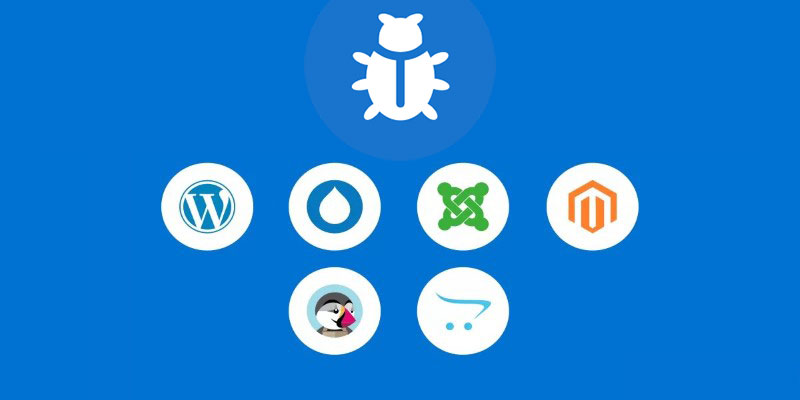 Por qué las plataformas CMS son objetivos para los piratas informáticos