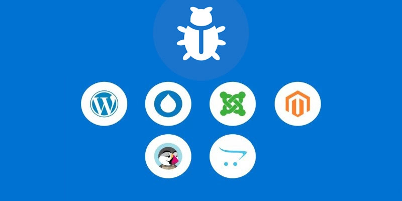 Por qué las plataformas CMS son objetivos para los piratas informáticos