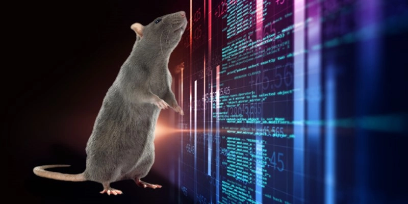 Qué es un RAT y por qué es tan peligroso